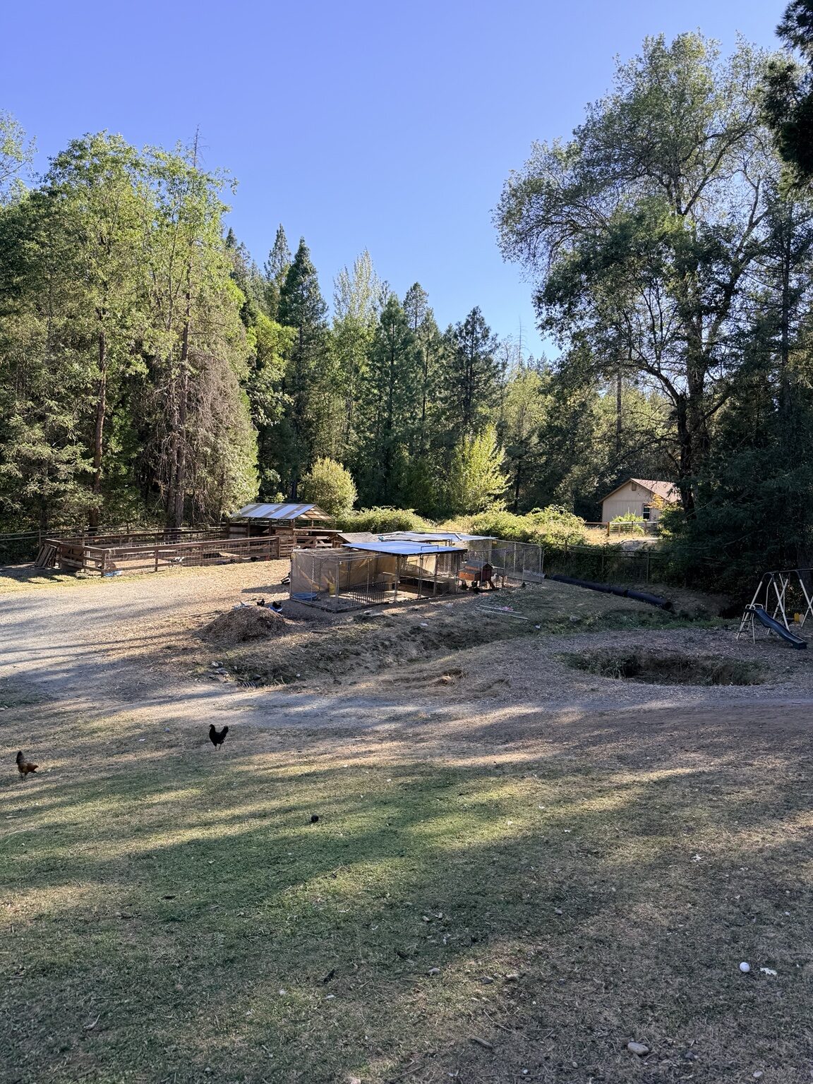 Property Grounds Cleanup