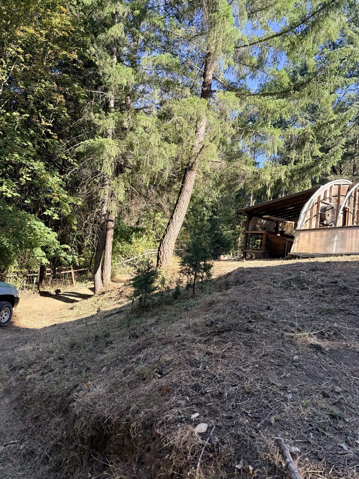 Cleared hillside and mowed slope beside the shop building