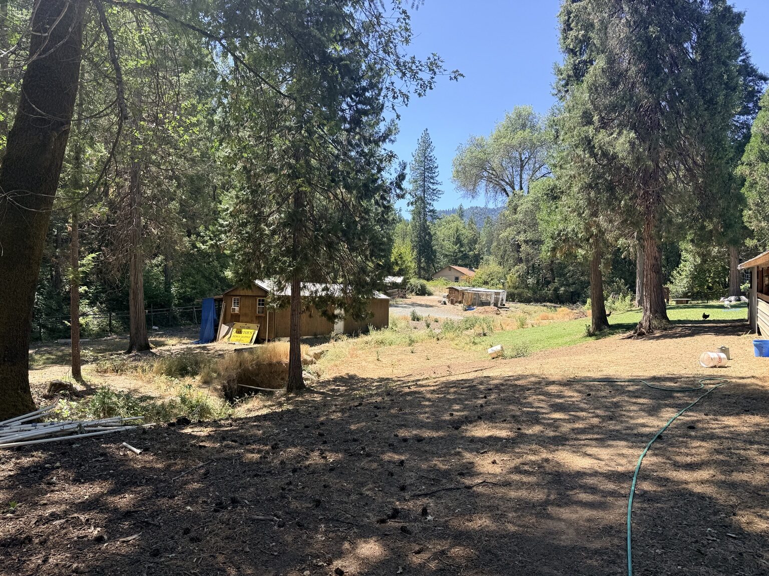 Wide view of the cleared property after brush removal