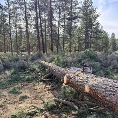 Land Clearing work by Sky Line Solutions in Southern Oregon