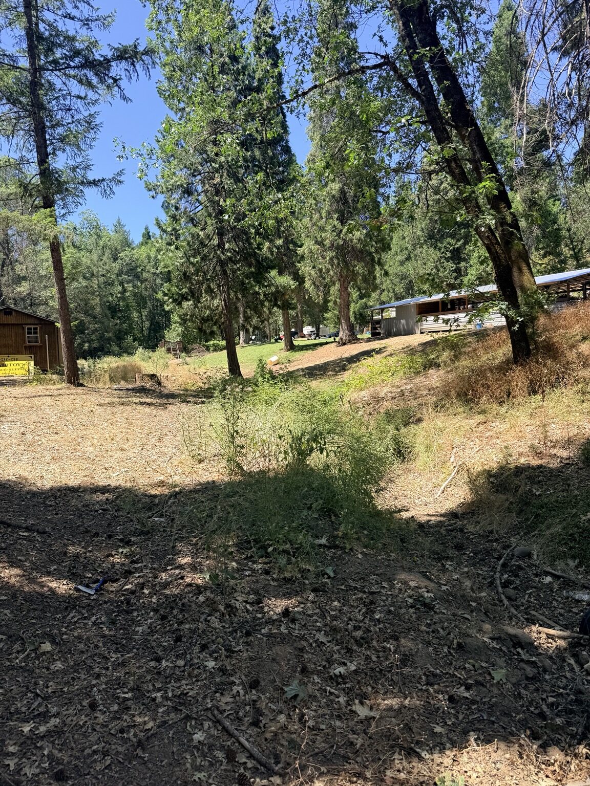 Property Land Clearing