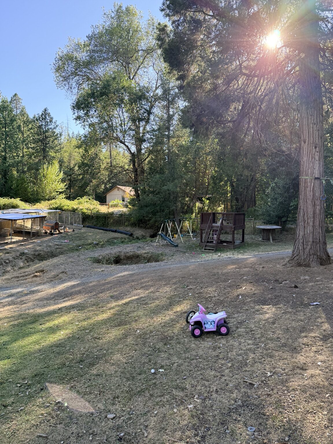 Open cleared yard and play area after grounds cleanup